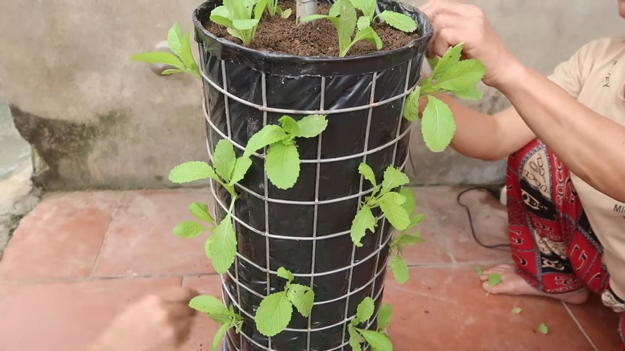 DIY Vertical Garden Automatic Watering