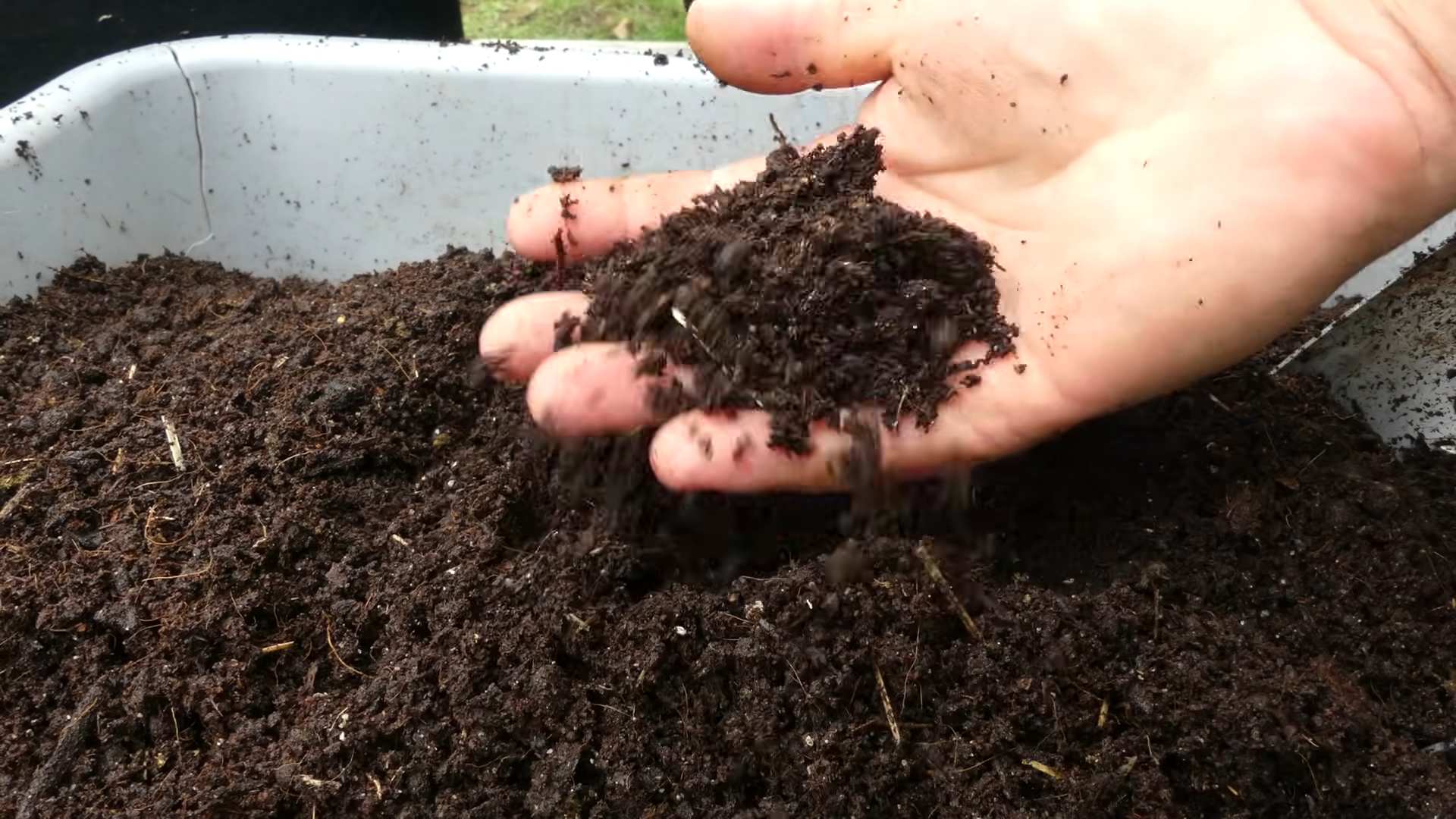 Container Carrot Gardening