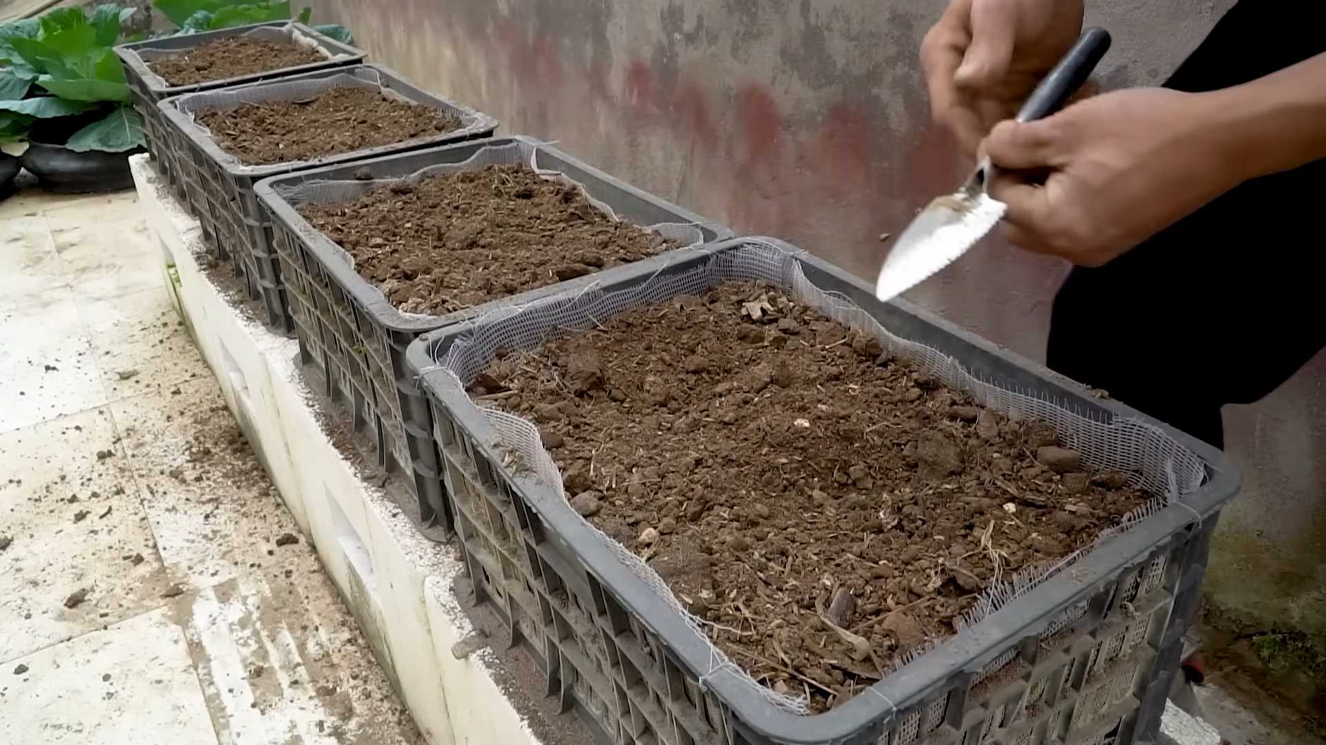 Grow More Zucchini