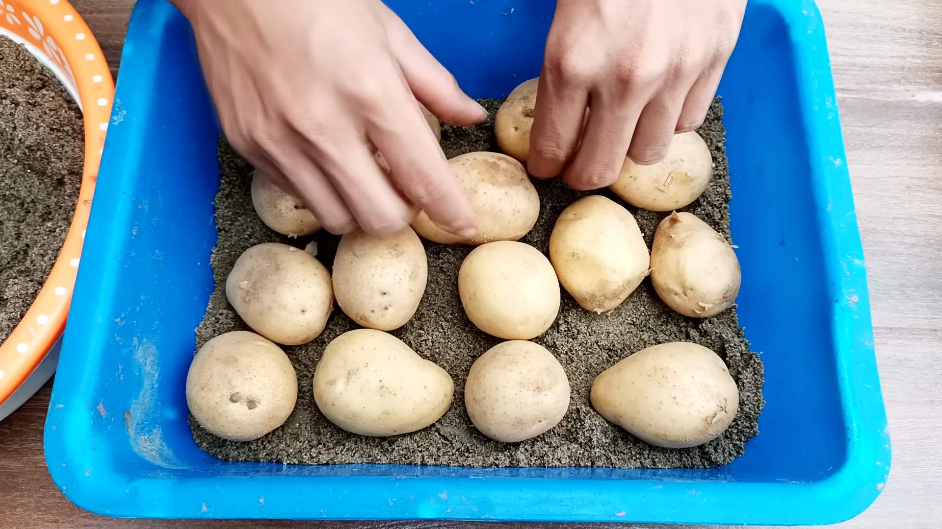 Growing Potatoes in Bags