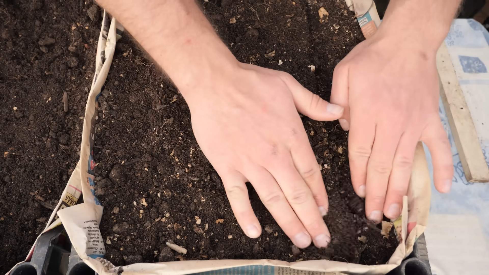 Grow Sweet Carrots at Home